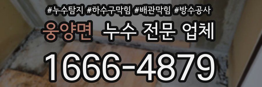 웅양면 누수 전문 업체