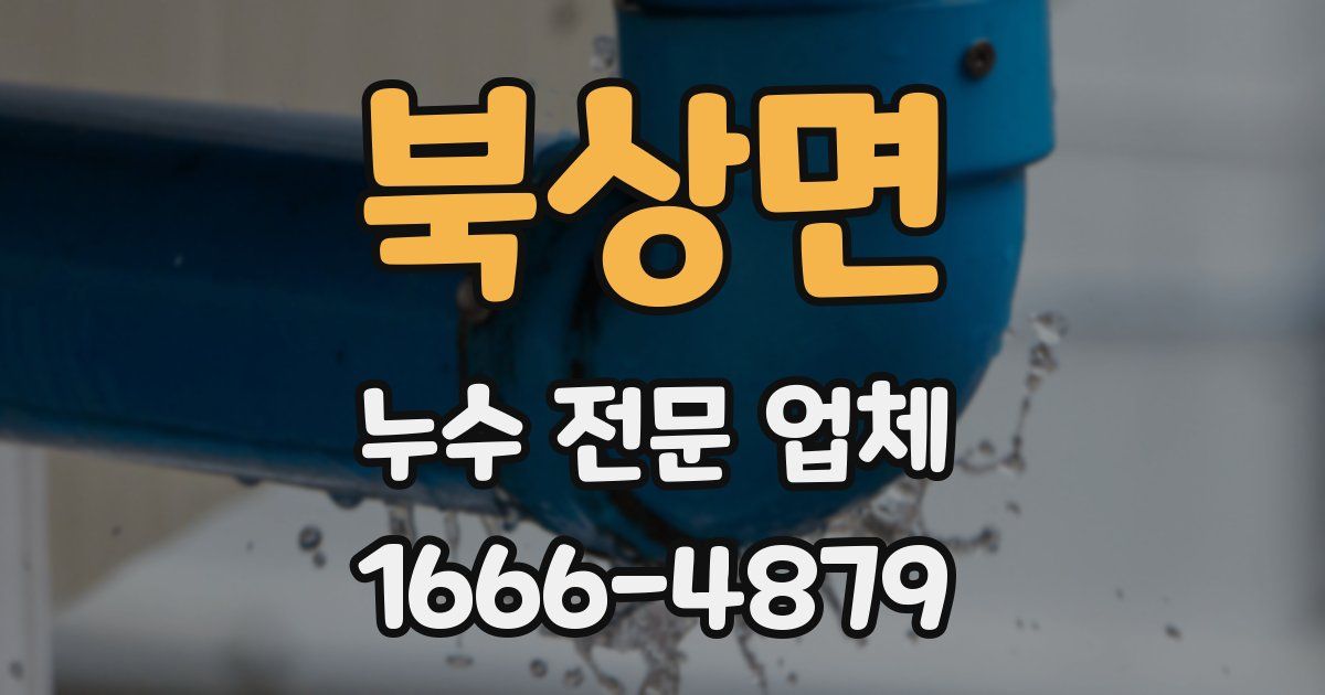 북상면 누수 전문 업체