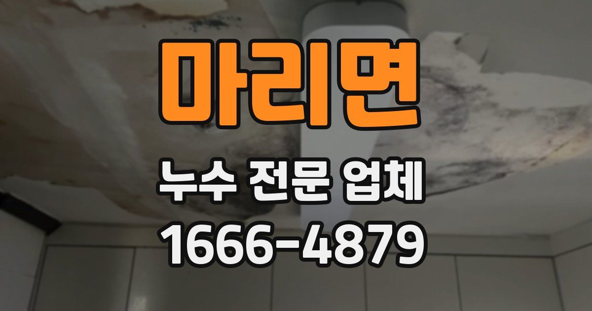 마리면 누수 전문 업체