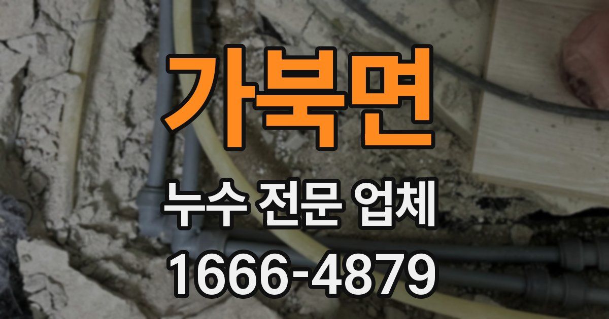 가북면 누수 전문 업체
