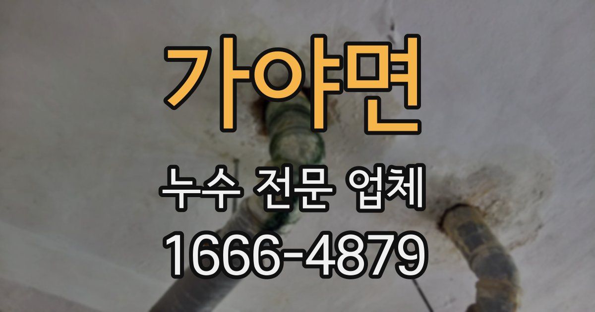 가야면 누수 전문 업체
