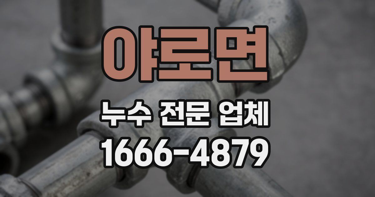 야로면 누수 전문 업체