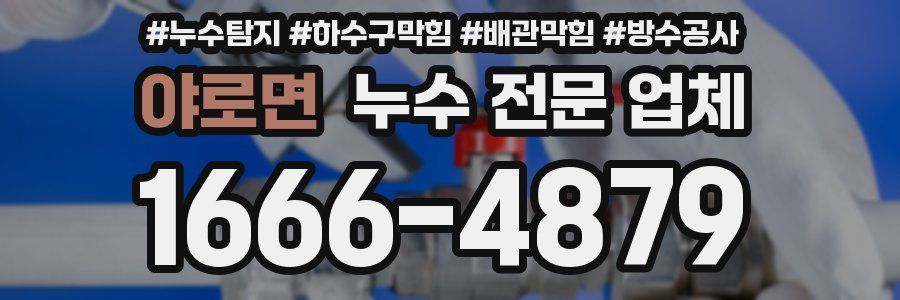 야로면 누수 전문 업체