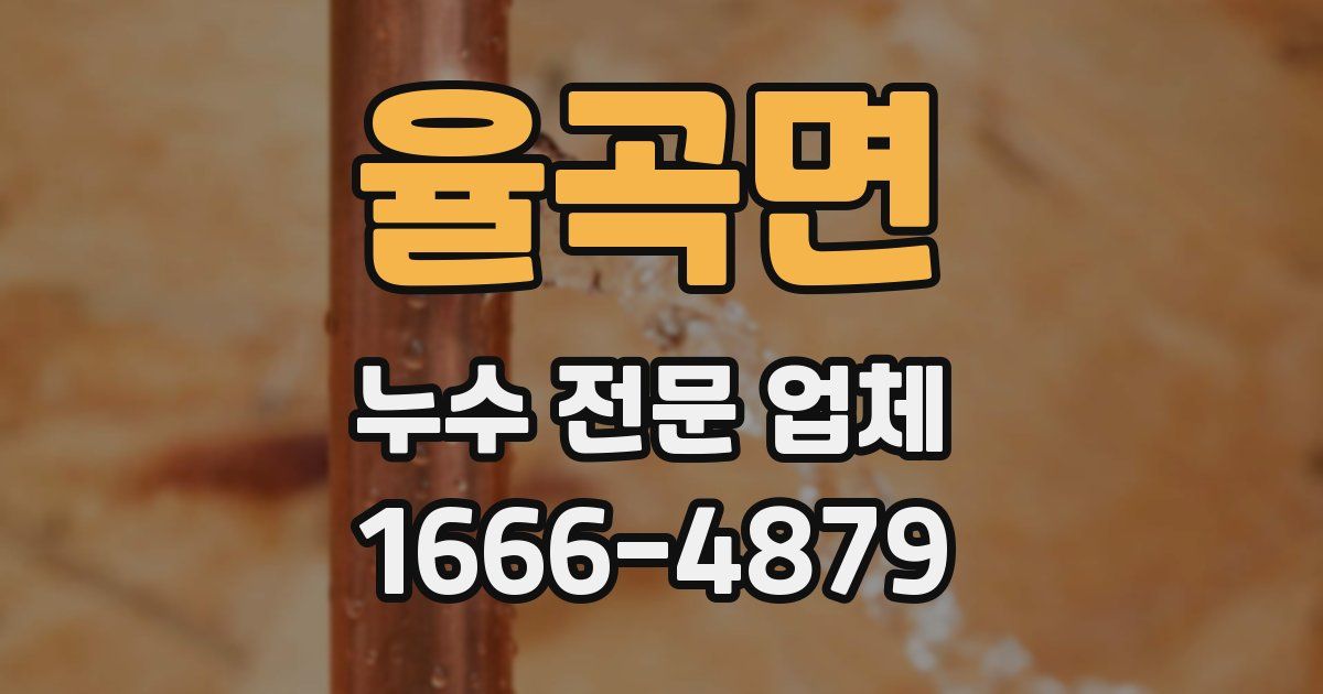 율곡면 누수 전문 업체