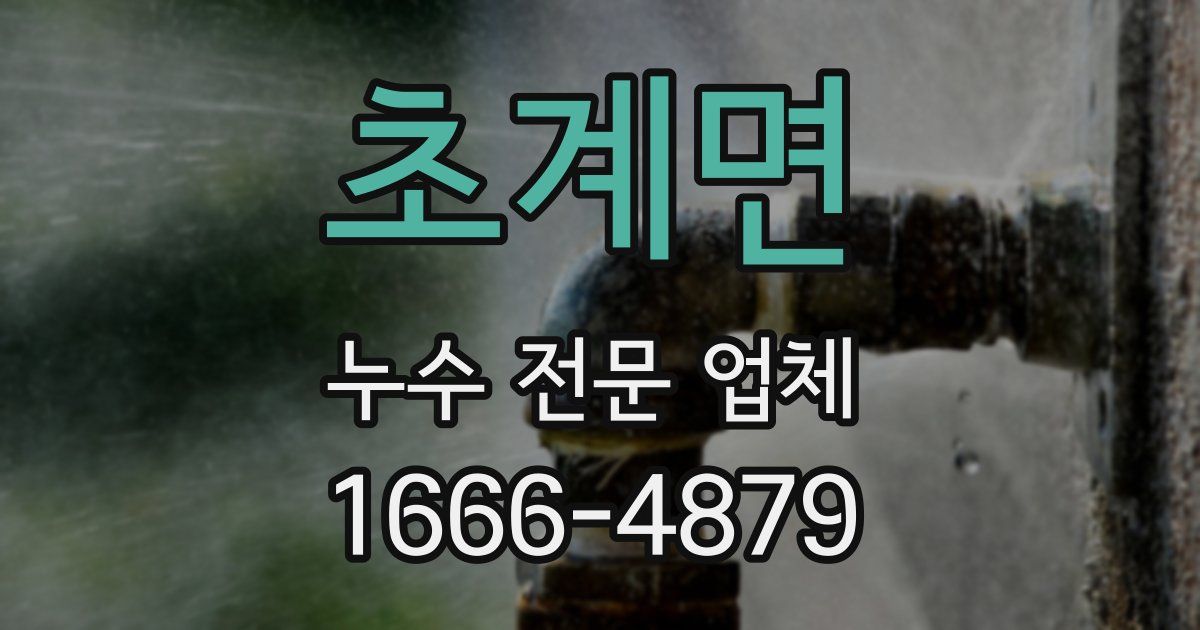 초계면 누수 전문 업체