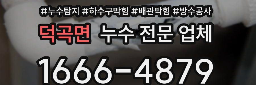 덕곡면 누수 전문 업체
