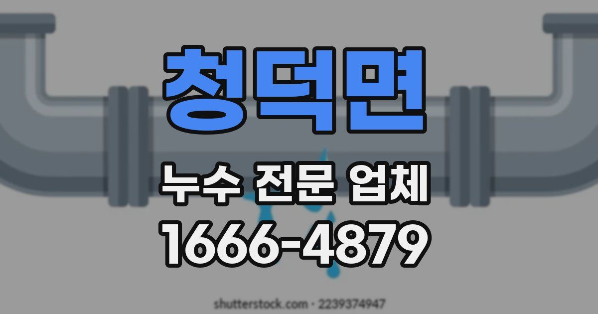 청덕면 누수 전문 업체