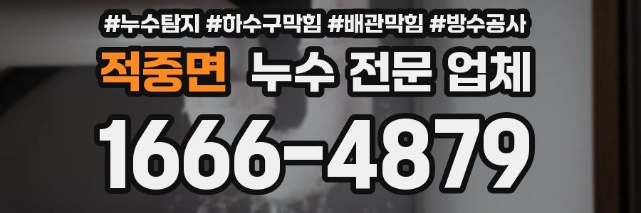 적중면 누수 전문 업체