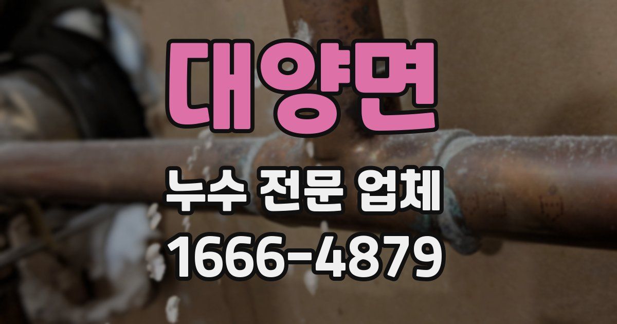 대양면 누수 전문 업체