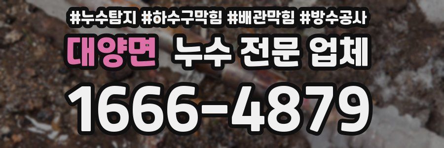 대양면 누수 전문 업체