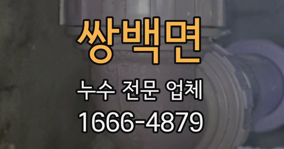 쌍백면 누수 전문 업체