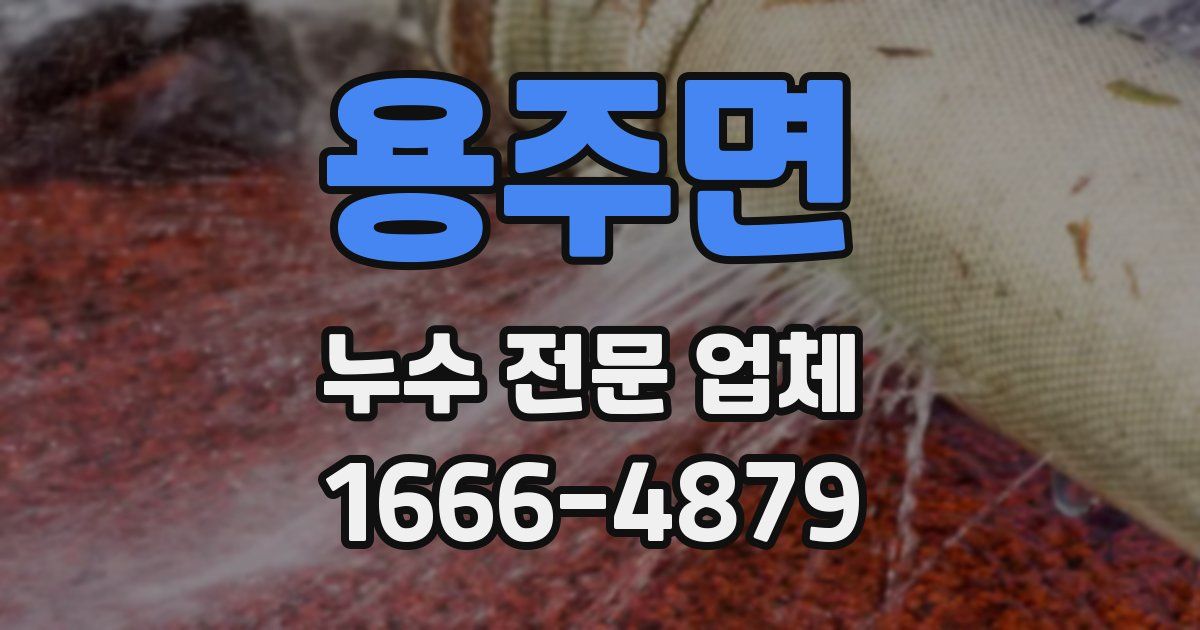 용주면 누수 전문 업체