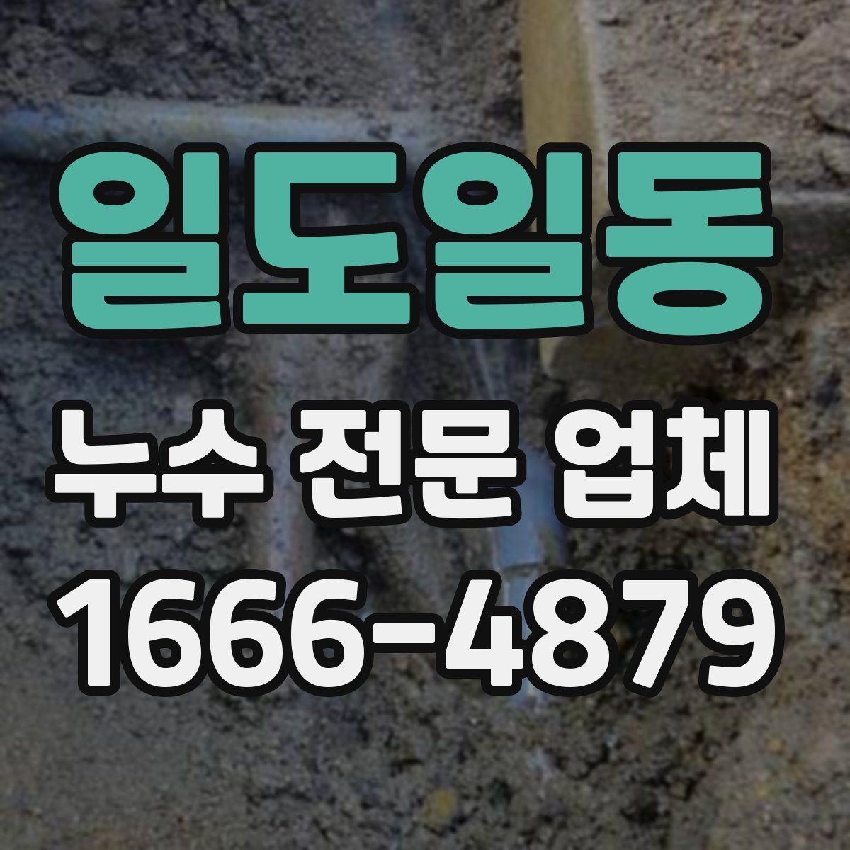 일도일동 누수 전문 업체