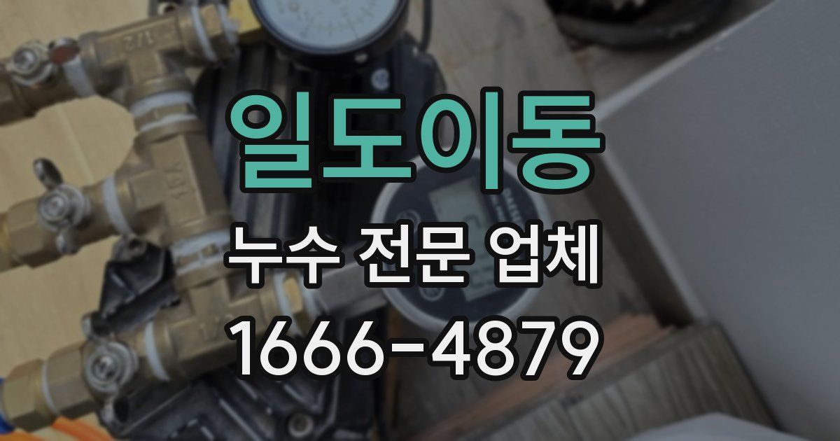 일도이동 누수 전문 업체