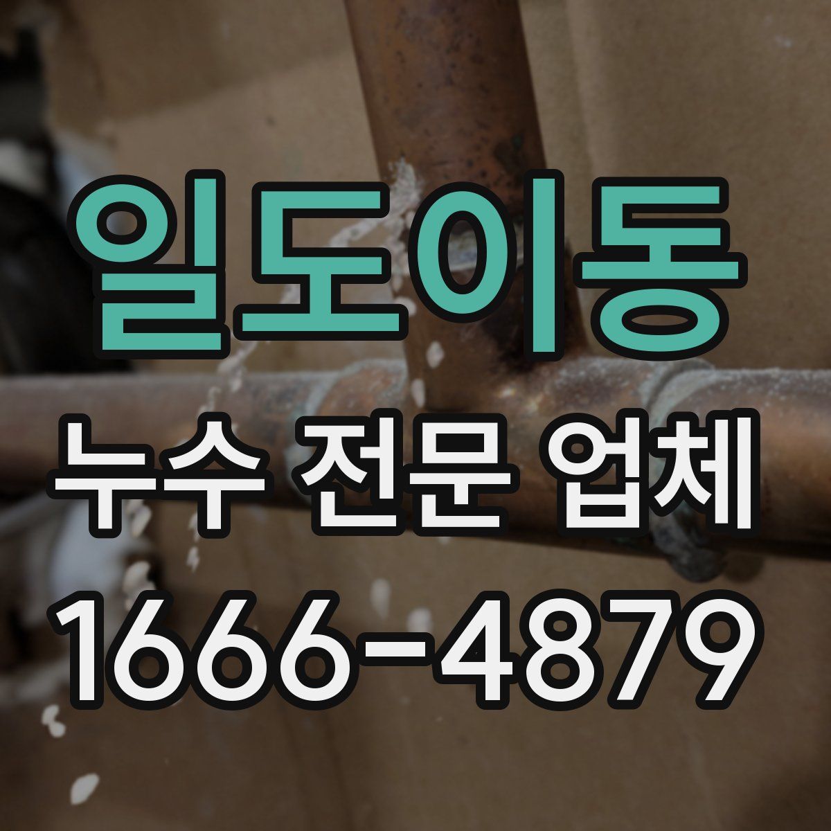 일도이동 누수 전문 업체