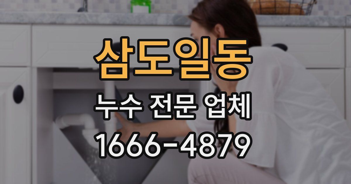 삼도일동 누수 전문 업체