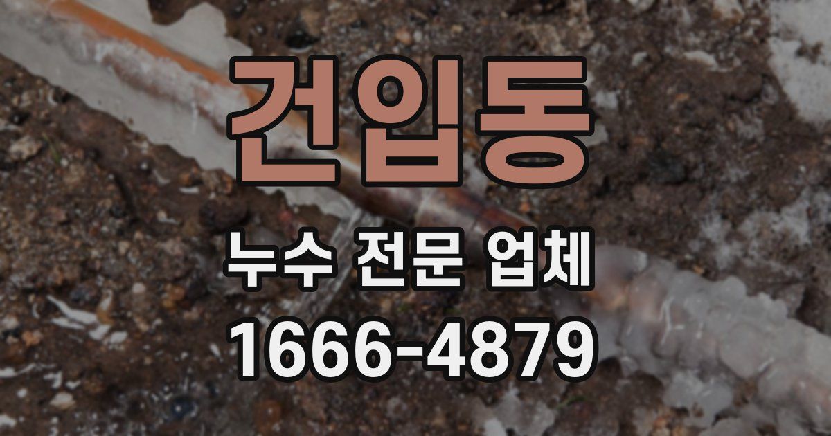건입동 누수 전문 업체