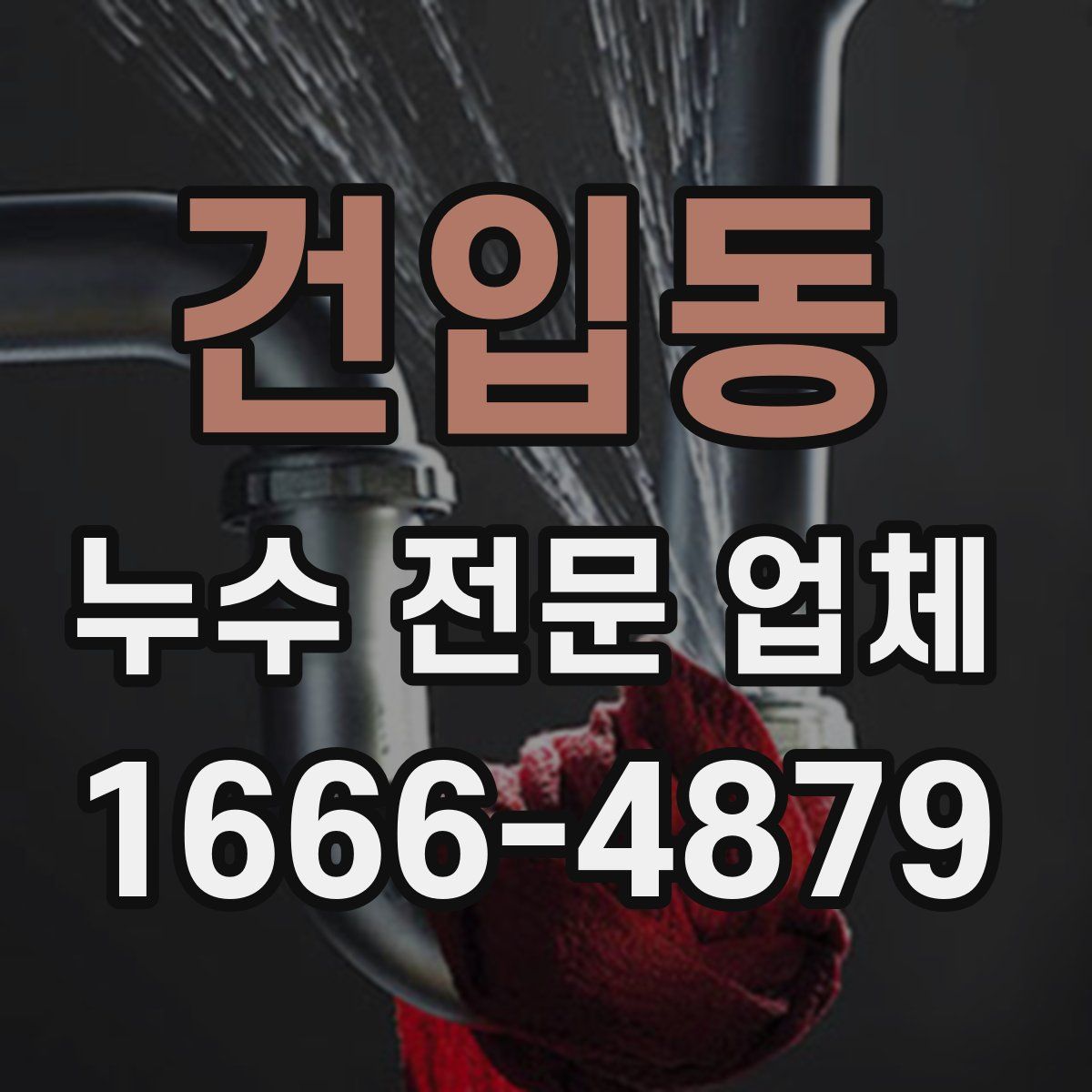 건입동 누수 전문 업체
