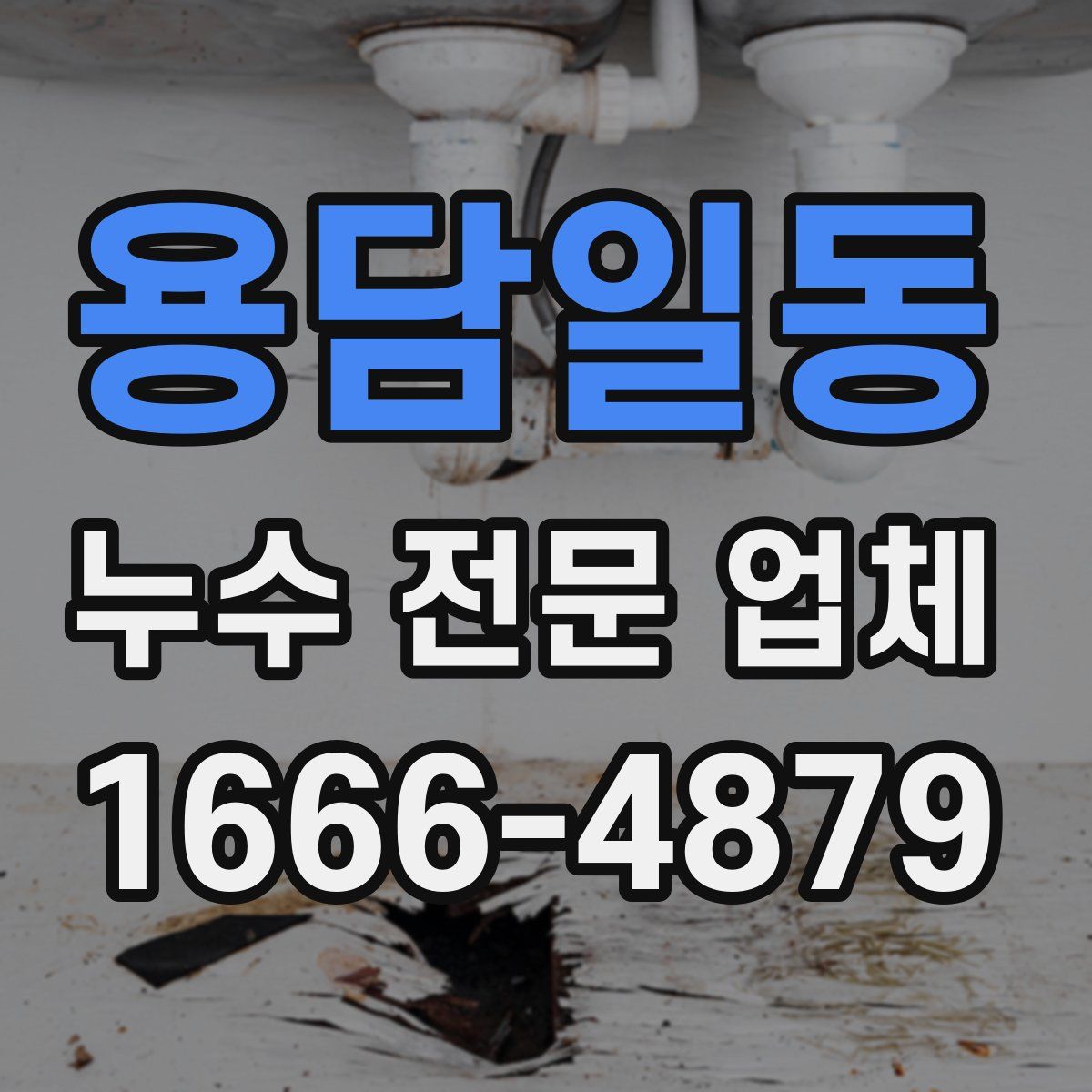 용담일동 누수 전문 업체