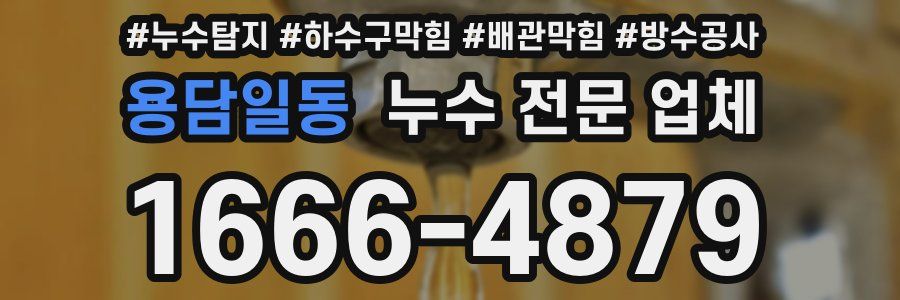 용담일동 누수 전문 업체