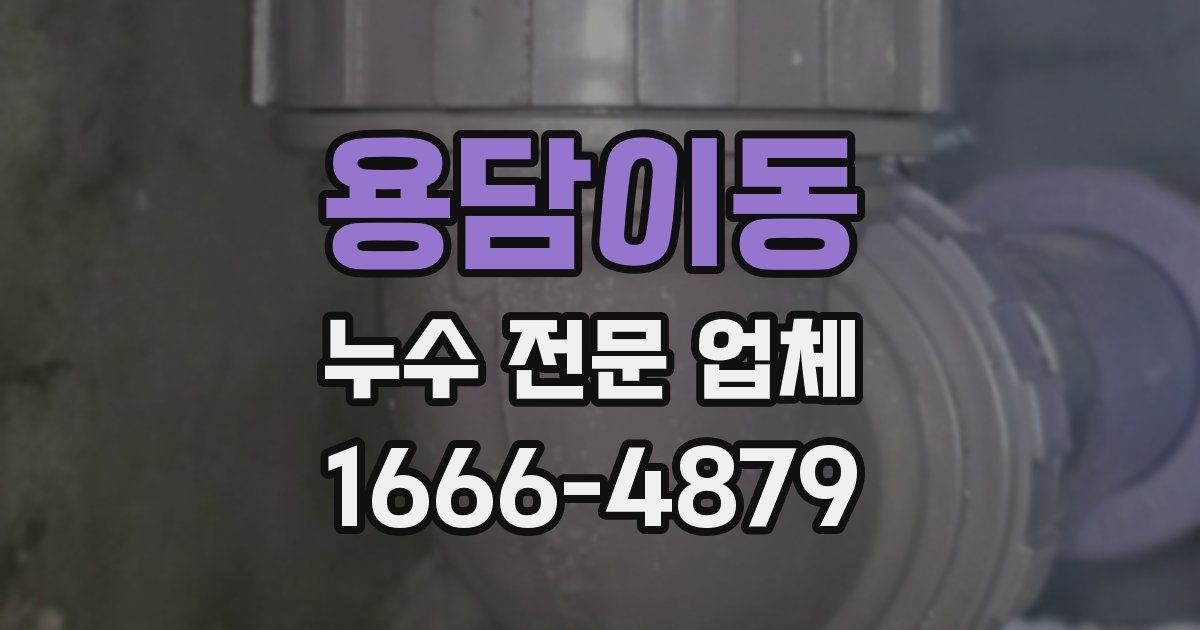 용담이동 누수 전문 업체