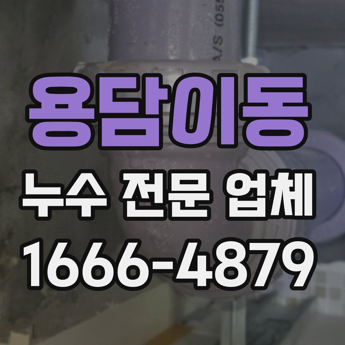 용담이동 누수 전문 업체
