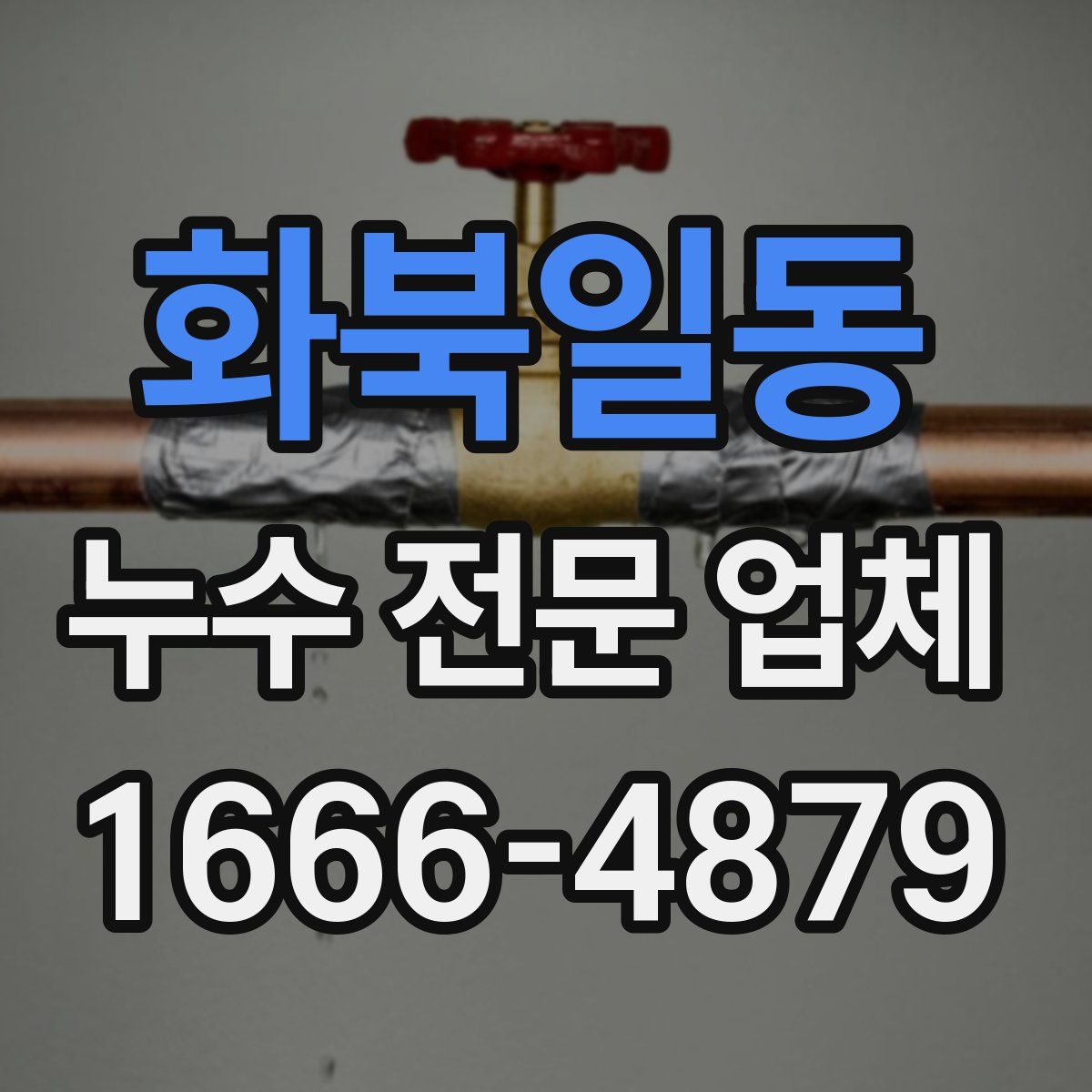 화북일동 누수 전문 업체