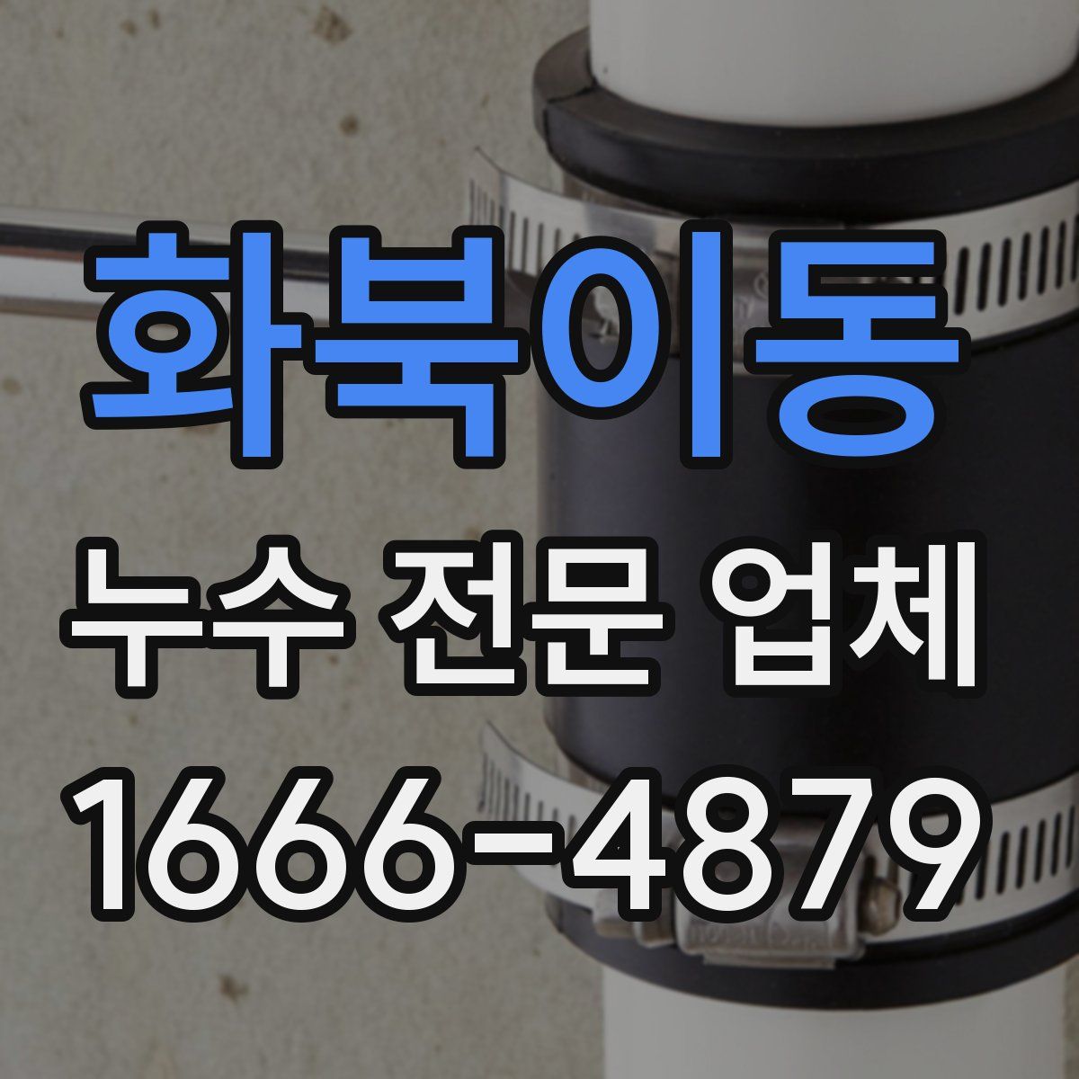 화북이동 누수 전문 업체