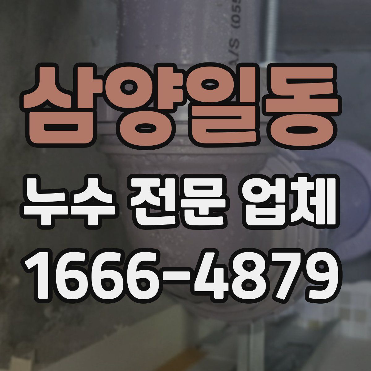 삼양일동 누수 전문 업체