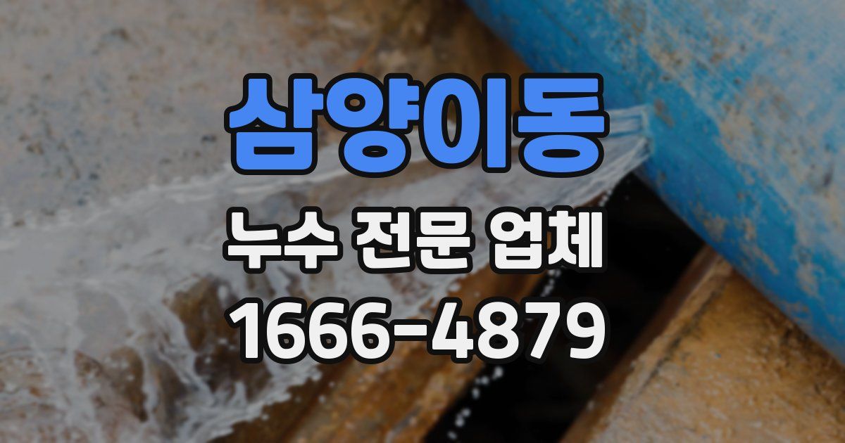 삼양이동 누수 전문 업체