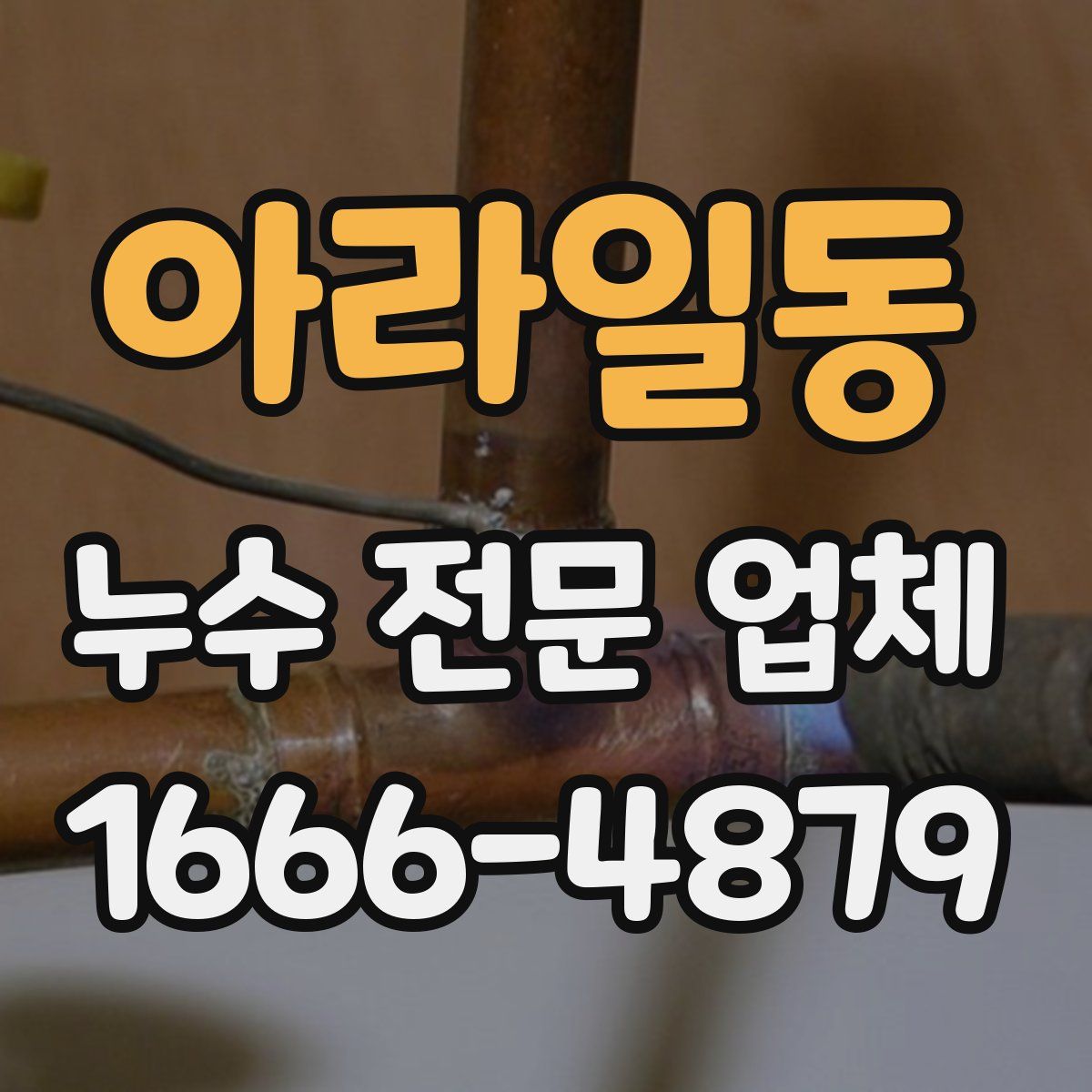 아라일동 누수 전문 업체