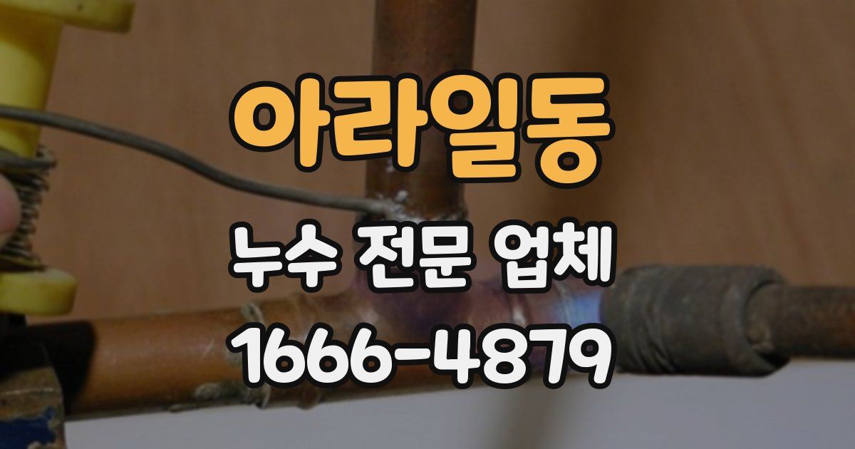 아라일동 누수 전문 업체