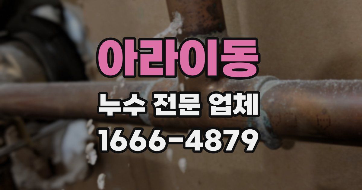 아라이동 누수 전문 업체