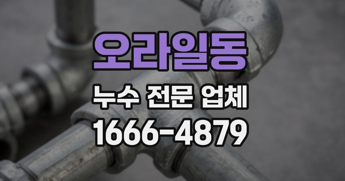 오라일동 누수 전문 업체