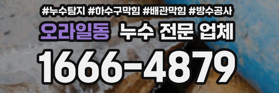 오라일동 누수 전문 업체