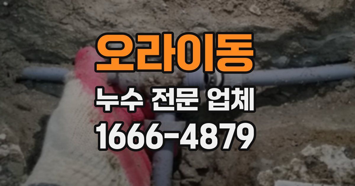 오라이동 누수 전문 업체