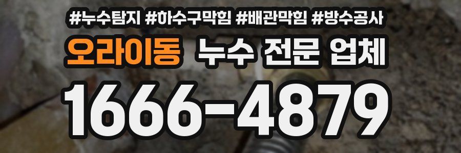 오라이동 누수 전문 업체