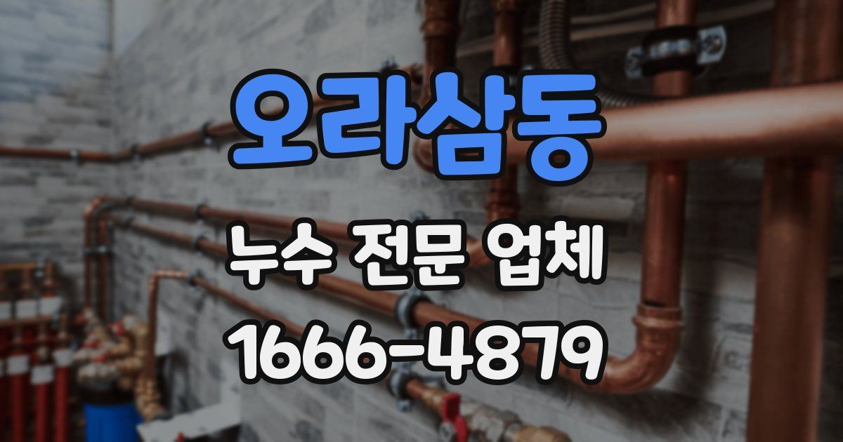 오라삼동 누수 전문 업체