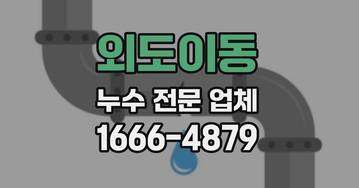 외도이동 누수 전문 업체