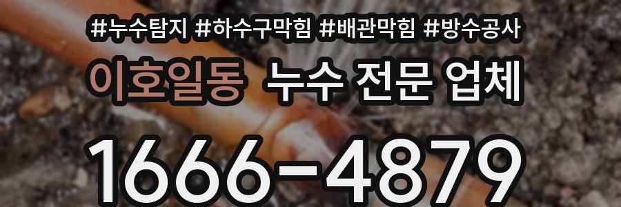 이호일동 누수 전문 업체