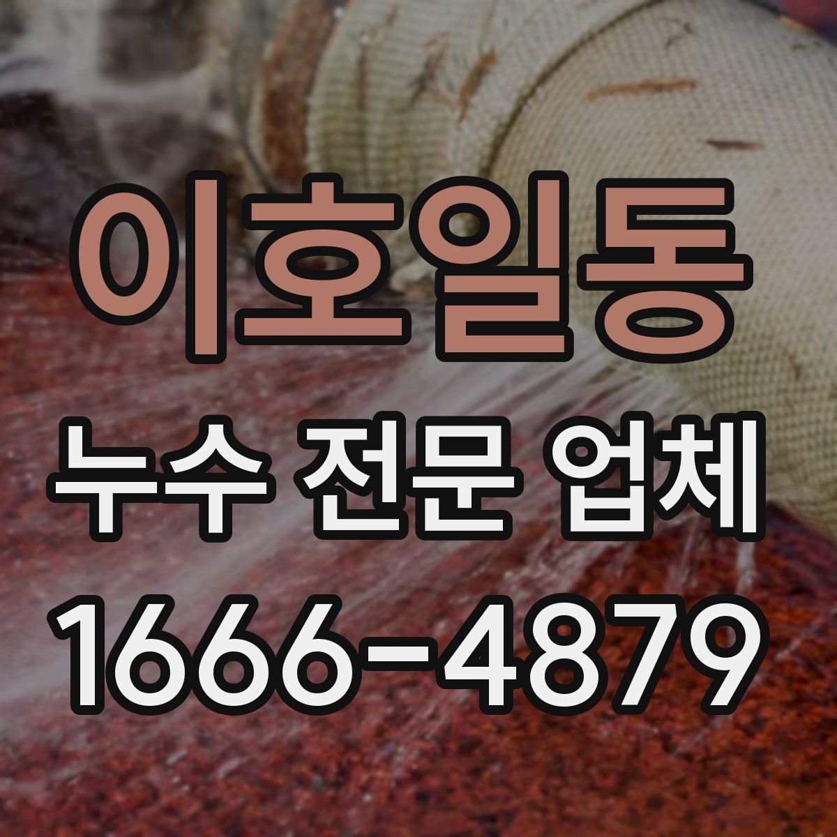 이호일동 누수 전문 업체