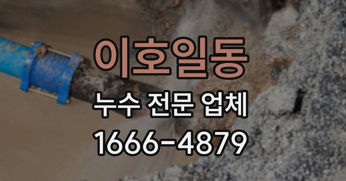 이호일동 누수 전문 업체