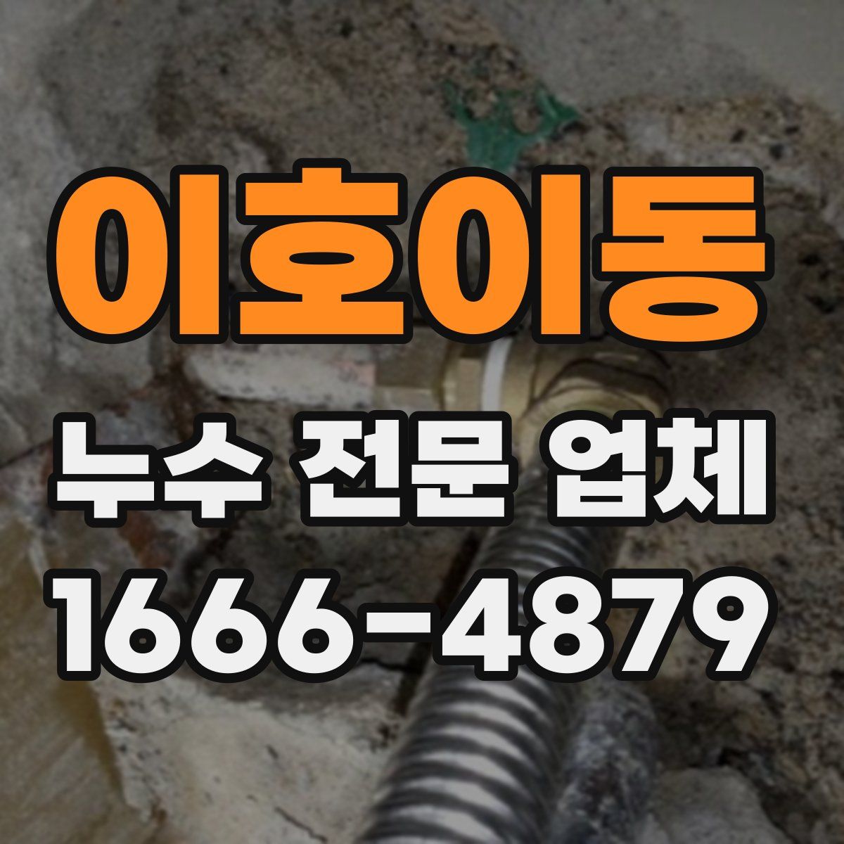 이호이동 누수 전문 업체