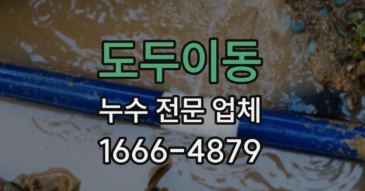 도두이동 누수 전문 업체