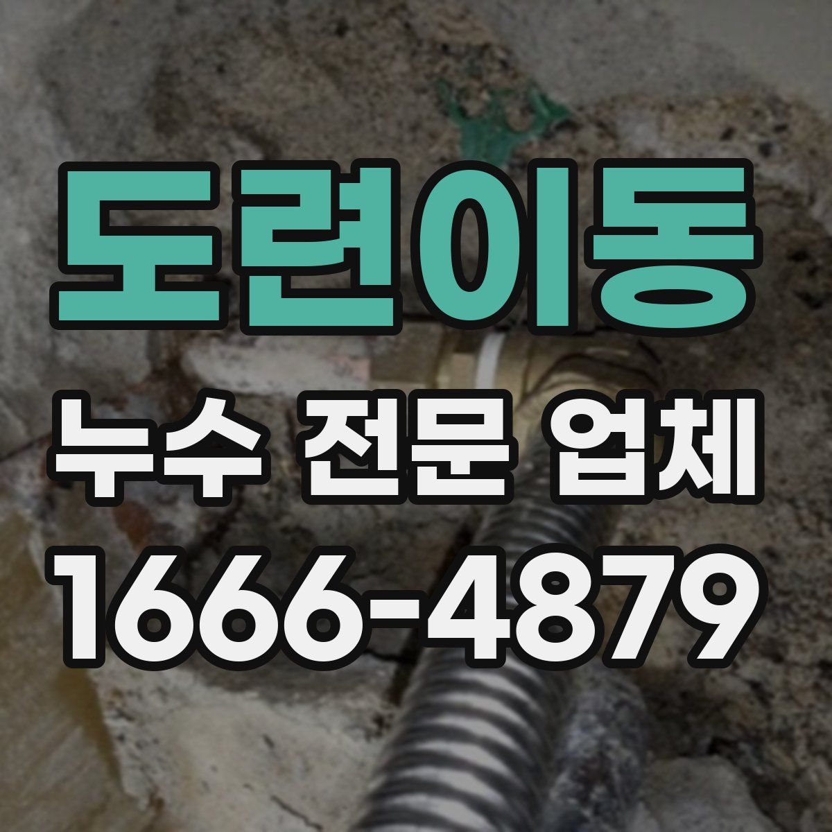 도련이동 누수 전문 업체
