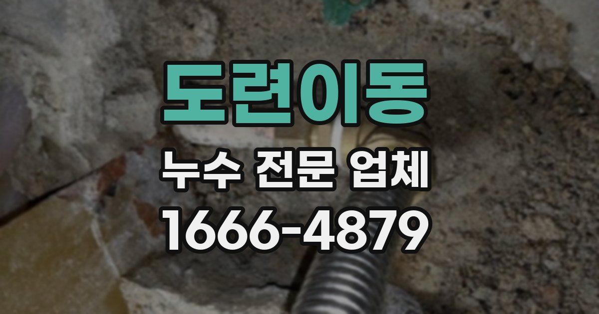 도련이동 누수 전문 업체