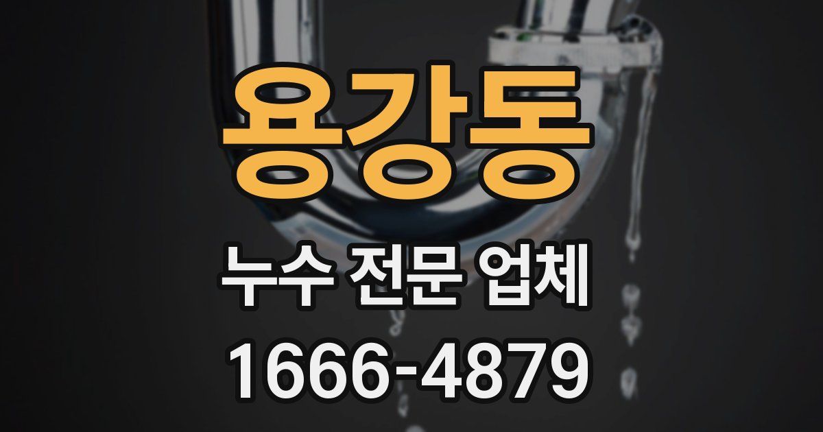 용강동 누수 전문 업체
