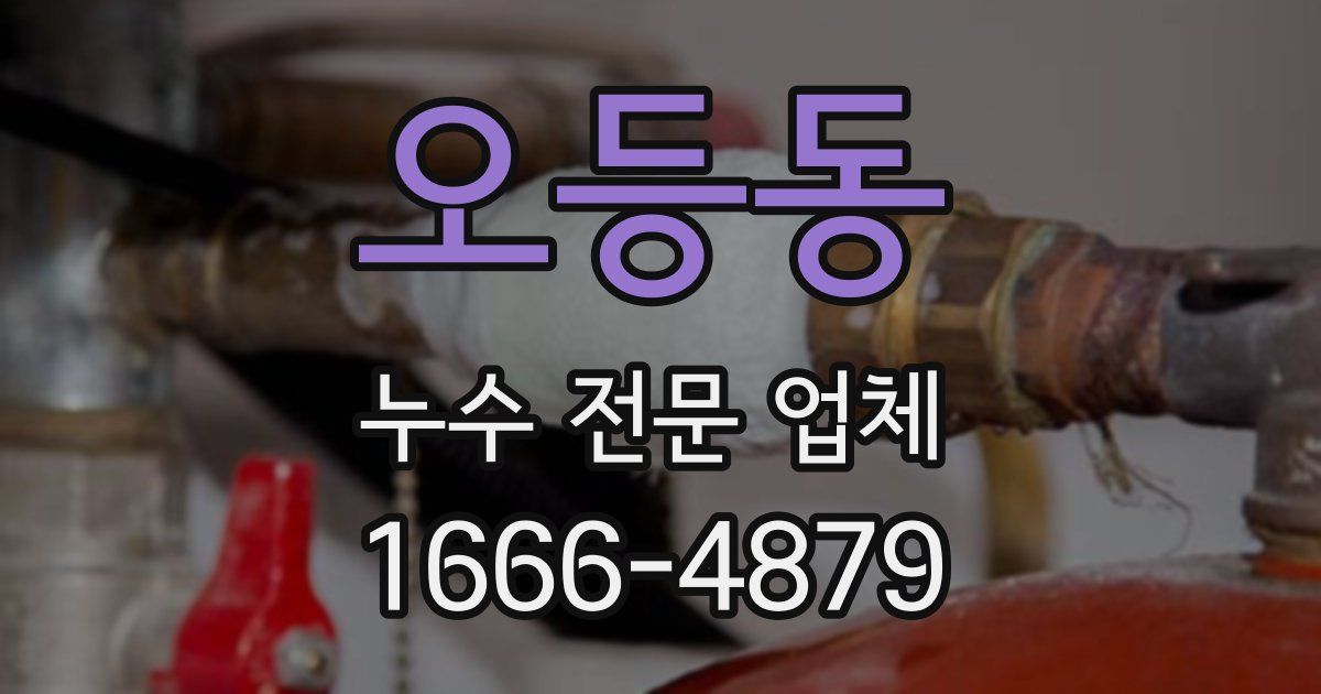오등동 누수 전문 업체