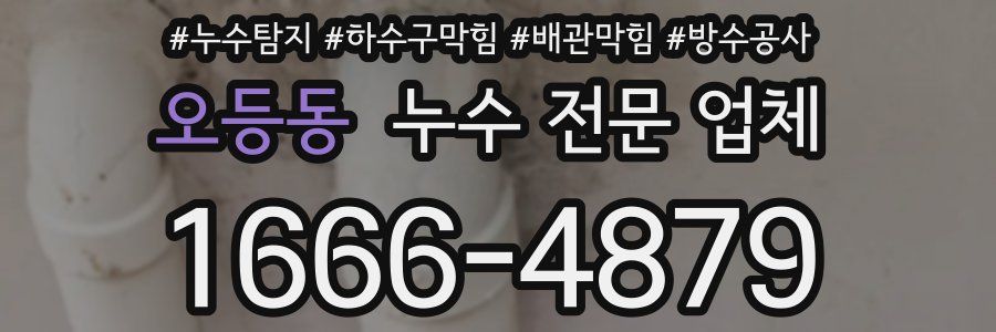 오등동 누수 전문 업체