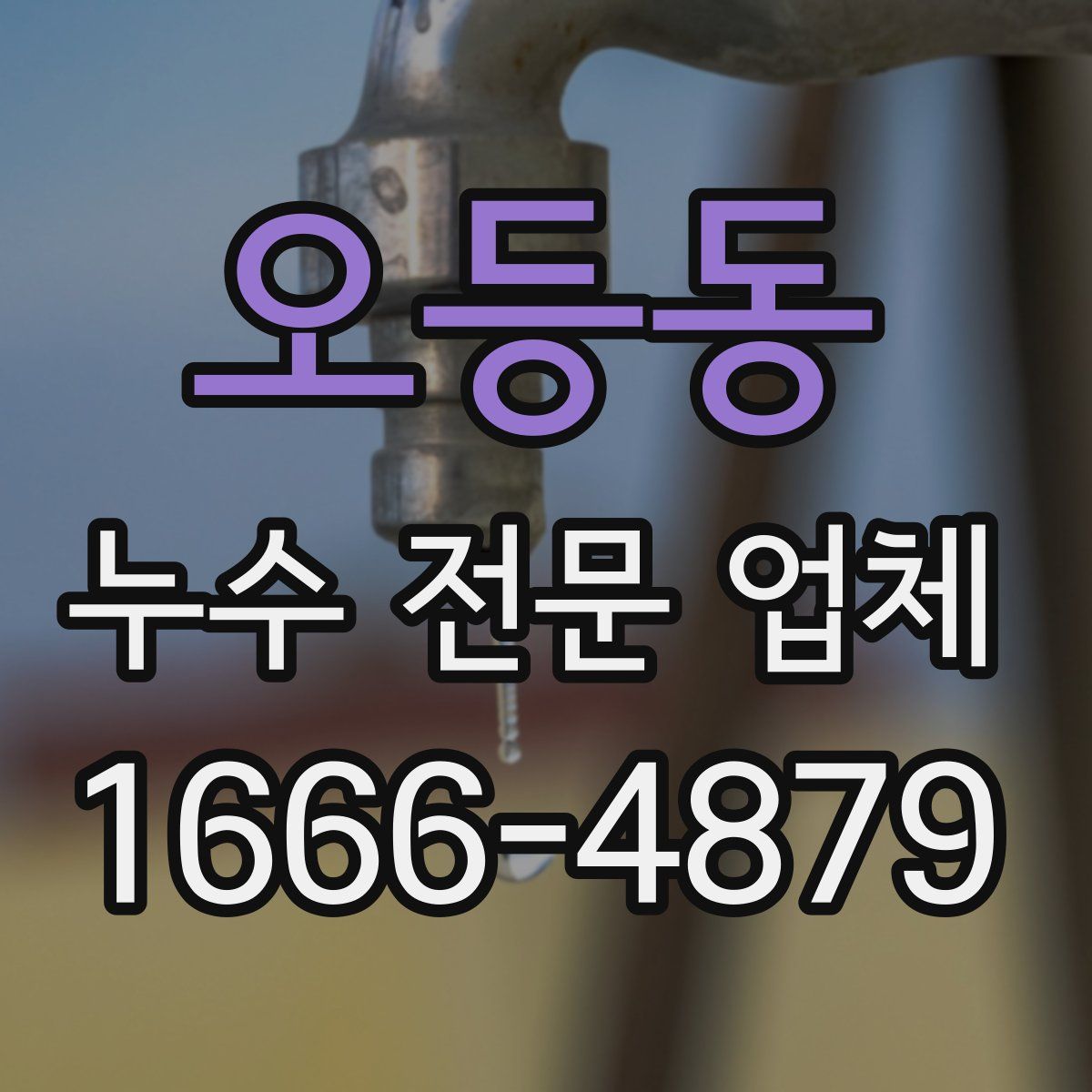 오등동 누수 전문 업체